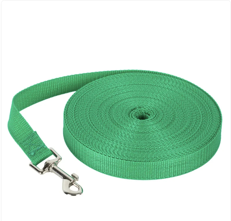 Laisse d’entraînement réfléchissante