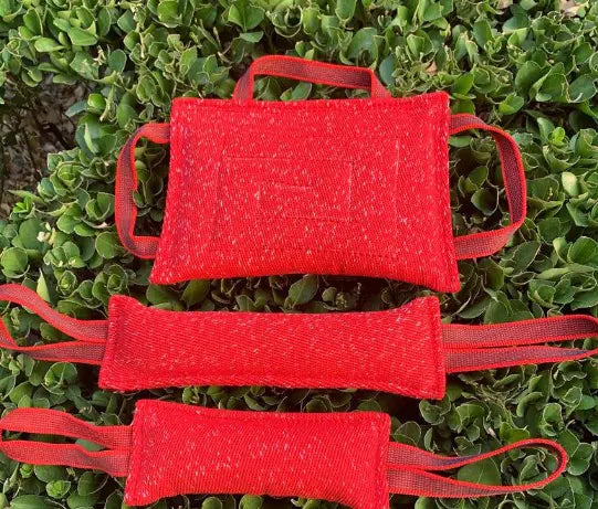 Bâton d’Entraînement Mordant