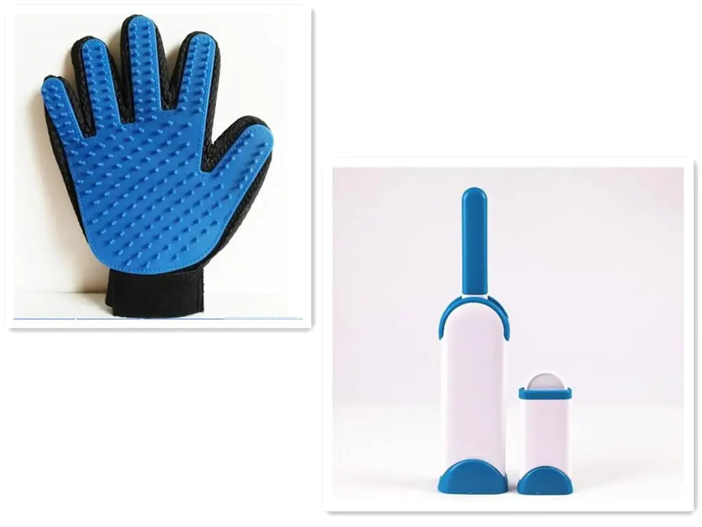 Set Brosse & Gant de Toilettage