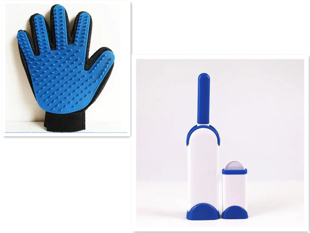 Set Brosse & Gant de Toilettage