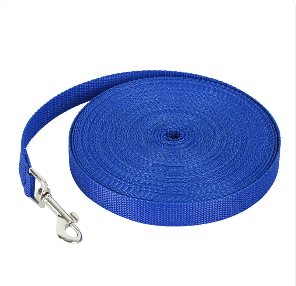 Laisse d’entraînement réfléchissante