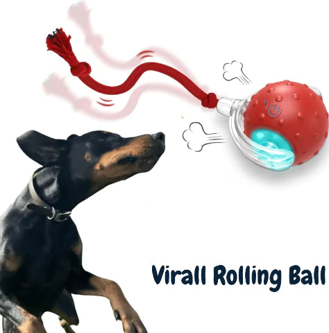 Balle Interactive pour Chien & Chat
