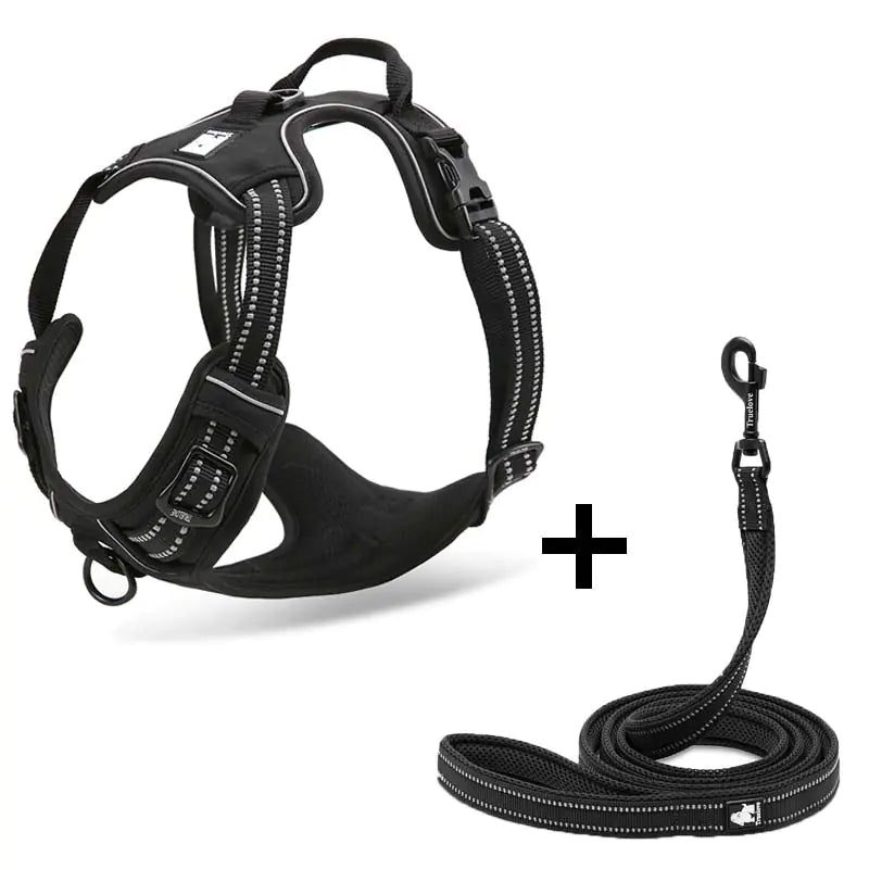 Harnais de Traction + Laisse