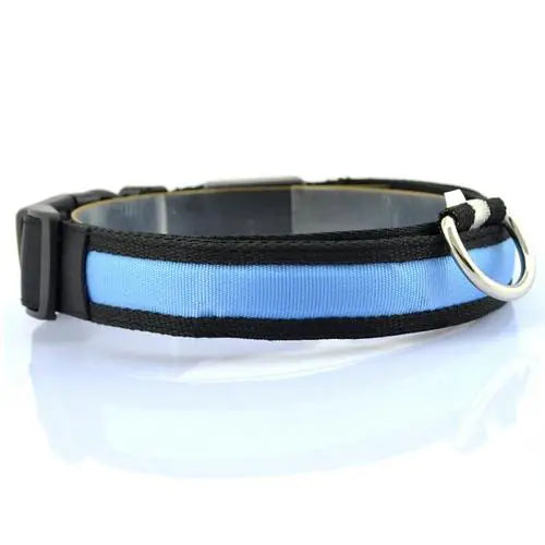 Collier Lumineux LED pour Chien