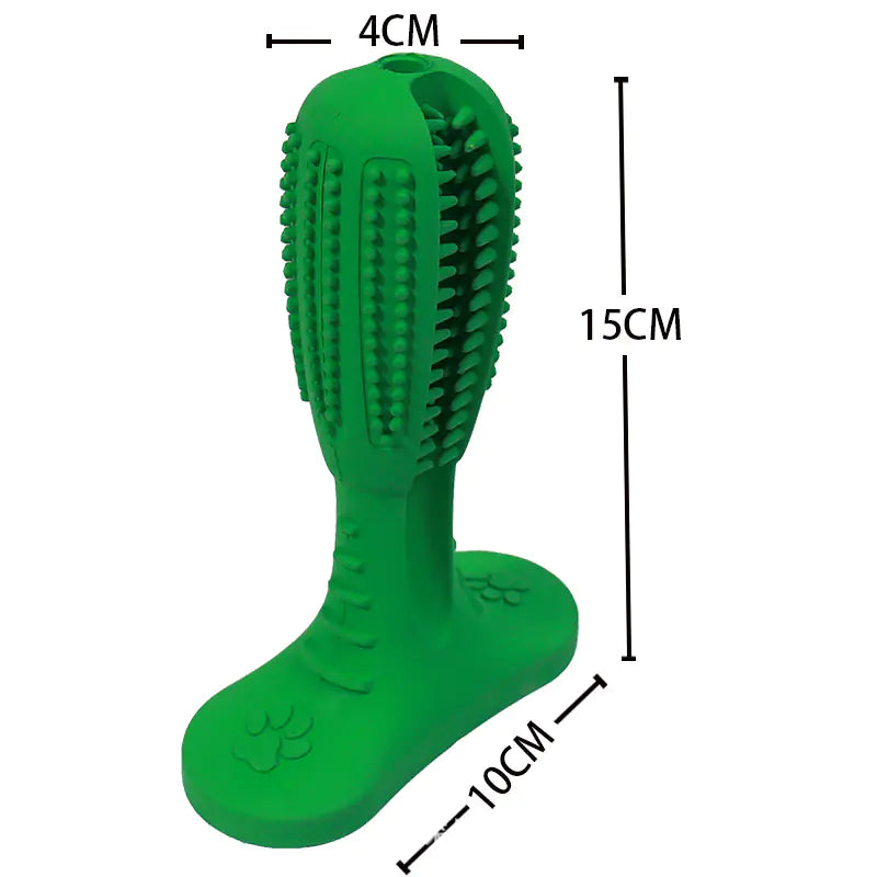 Jouet de Brossage Résistant aux Morsures