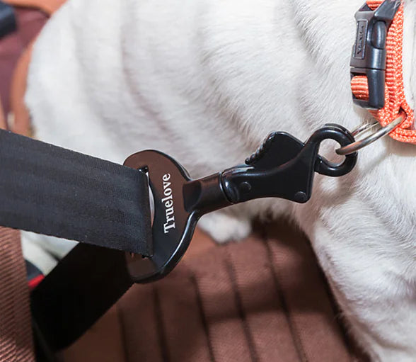 Ceinture de Sécurité pour Chien