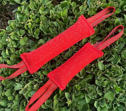 Bâton d’Entraînement Mordant