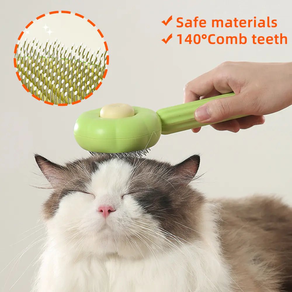 Brosse Magique pour Chat