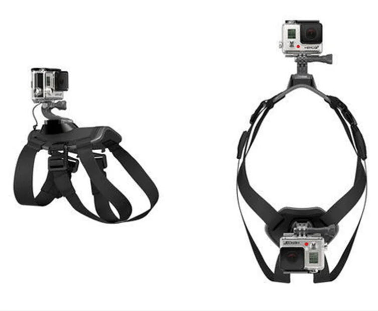 Harnais pour Chien avec Support GoPro