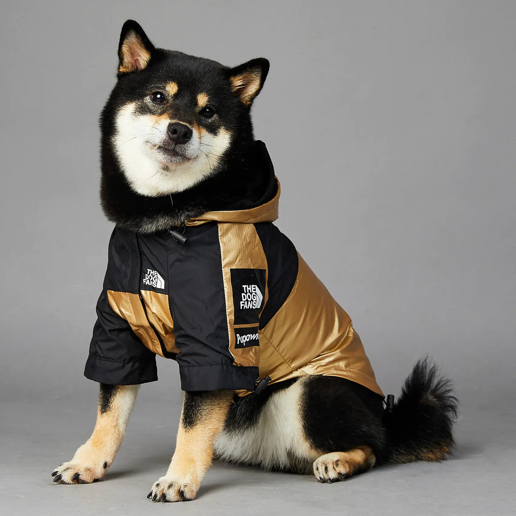 Imperméable pour Grand Chien