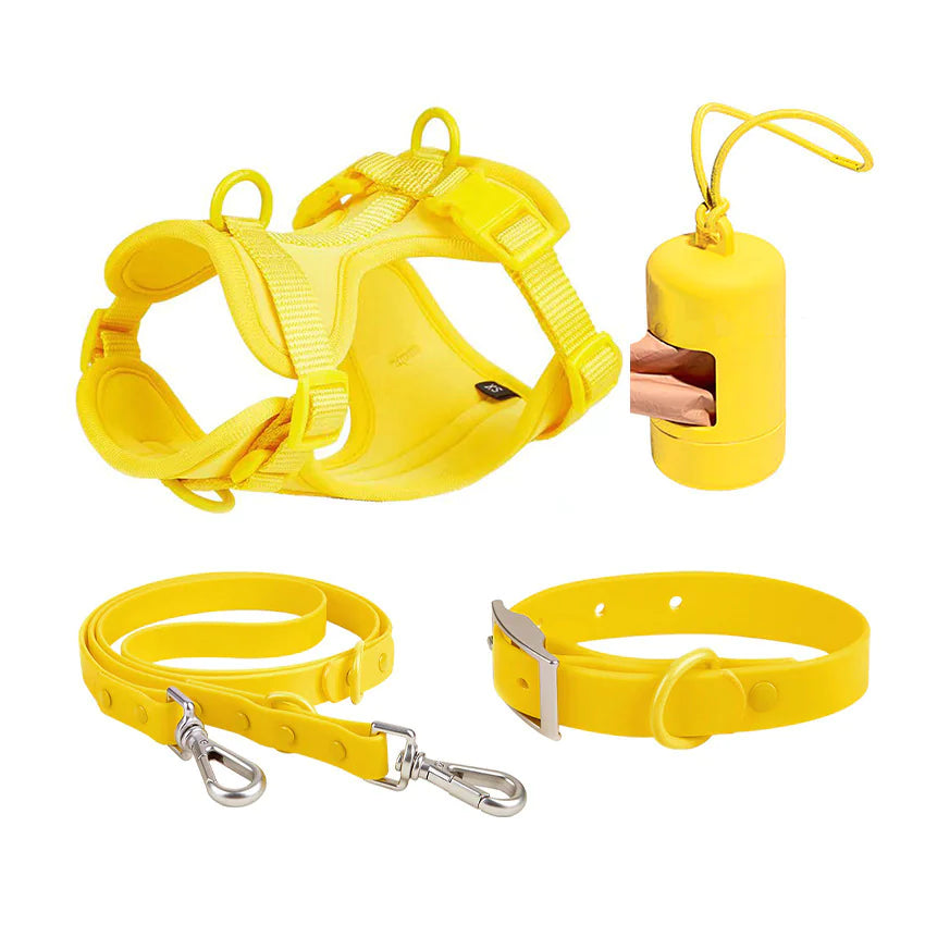 Set 4 pièces Harnais + Collier Anti-Morsure