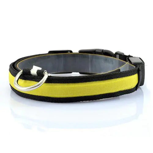 Collier Lumineux LED pour Chien
