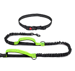 Laisse Mains Libres Ajustable