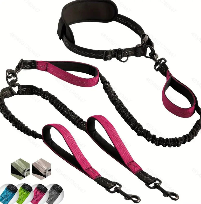 Laisse Multifonction Sportive pour Chien