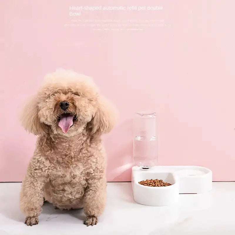 Gamelle Double Automatique