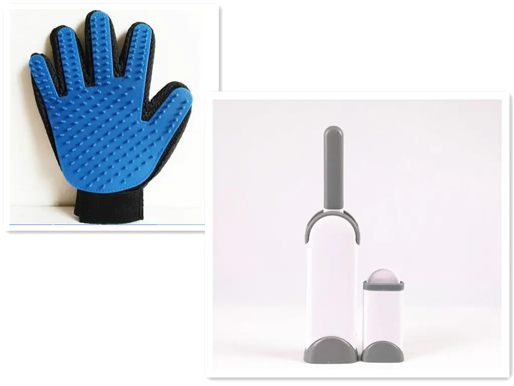 Set Brosse & Gant de Toilettage