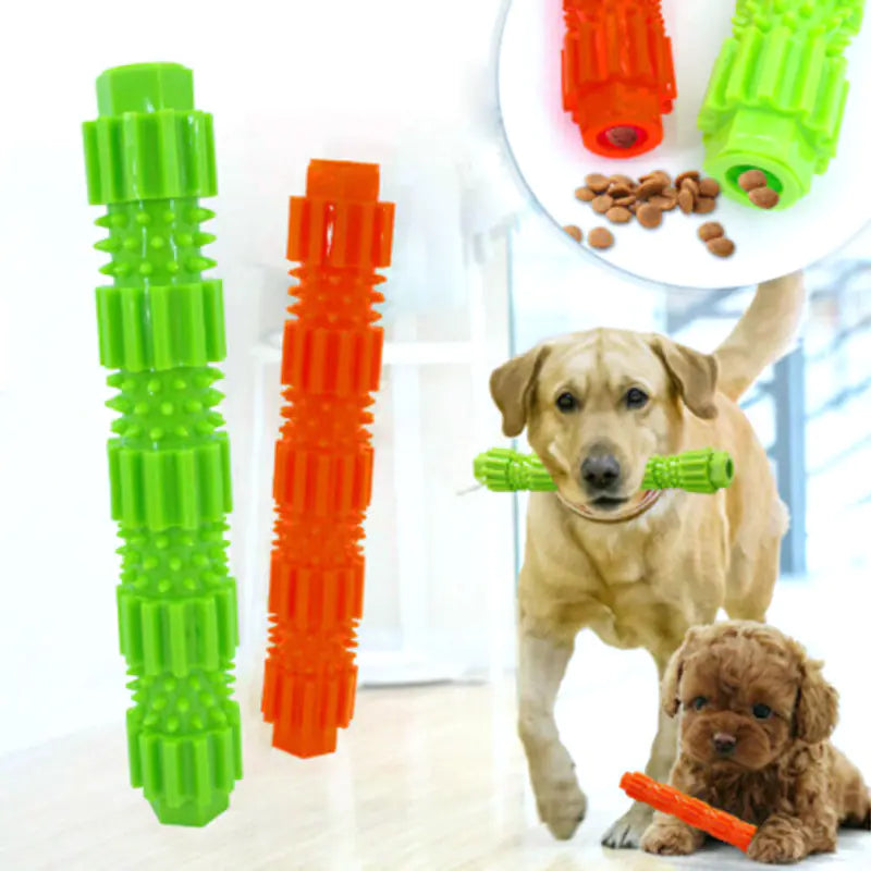 Jouet à Mâcher Durable et Brosse à Dents pour Chien