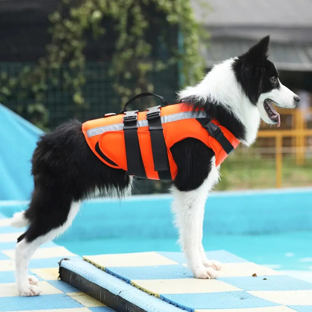 Gilet de Sauvetage