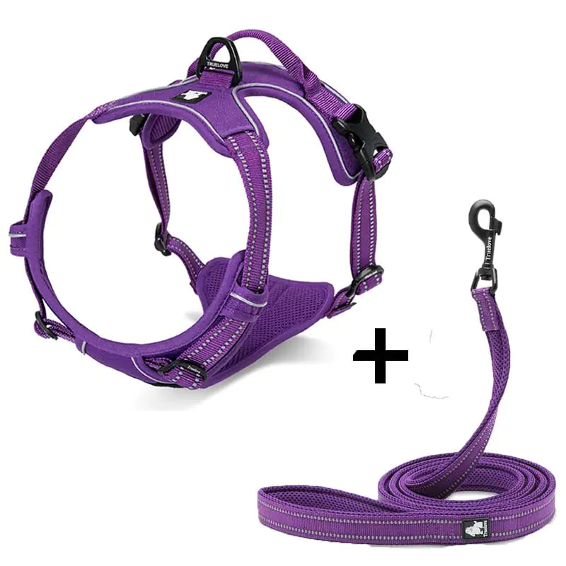 Harnais de Traction + Laisse