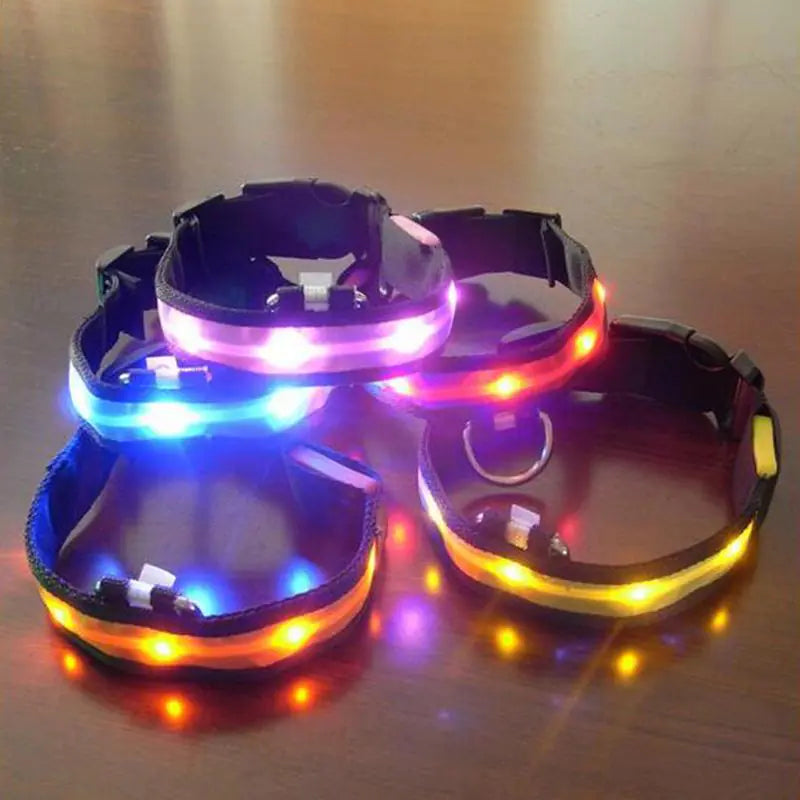 Collier Lumineux LED pour Chien