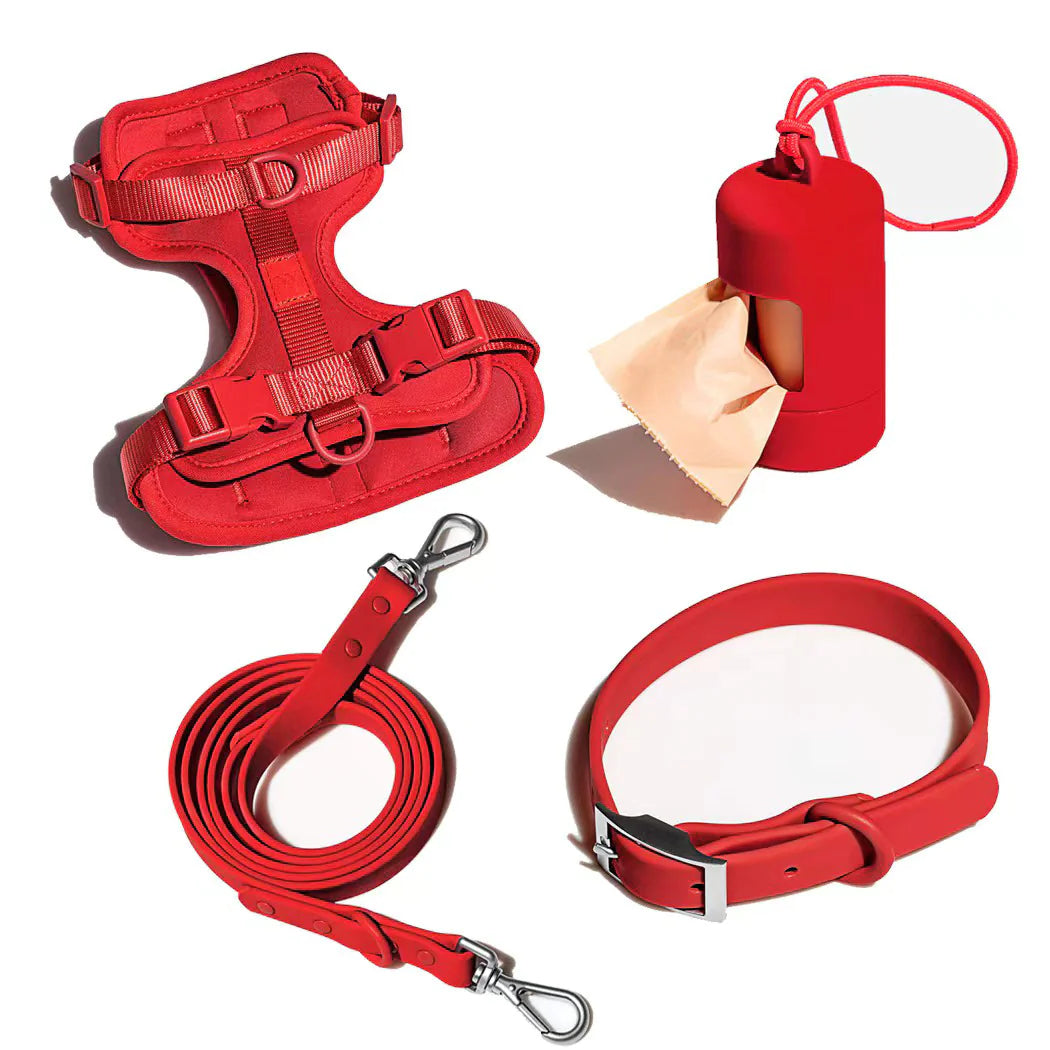Set 4 pièces Harnais + Collier Anti-Morsure