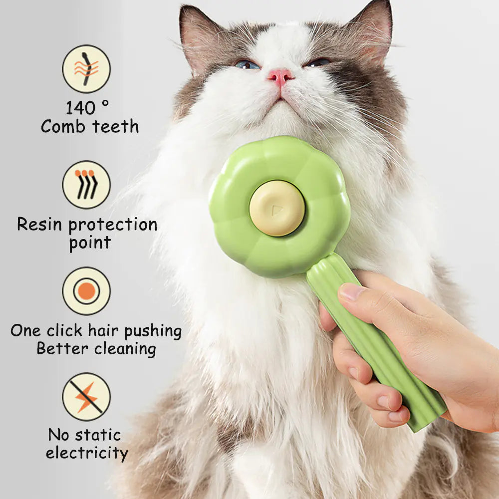 Brosse Magique pour Chat
