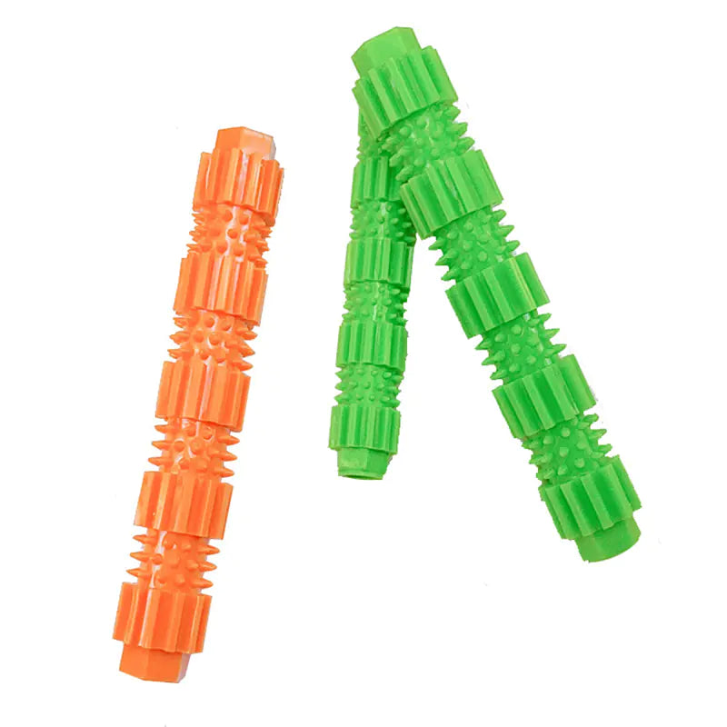 Jouet à Mâcher Durable et Brosse à Dents pour Chien