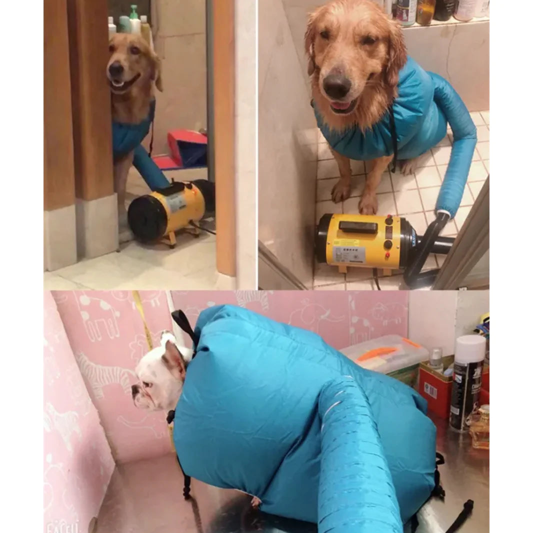 Sac de Séchage pour Chien