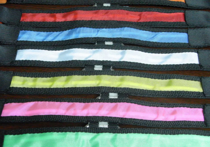 Collier Lumineux LED pour Chien