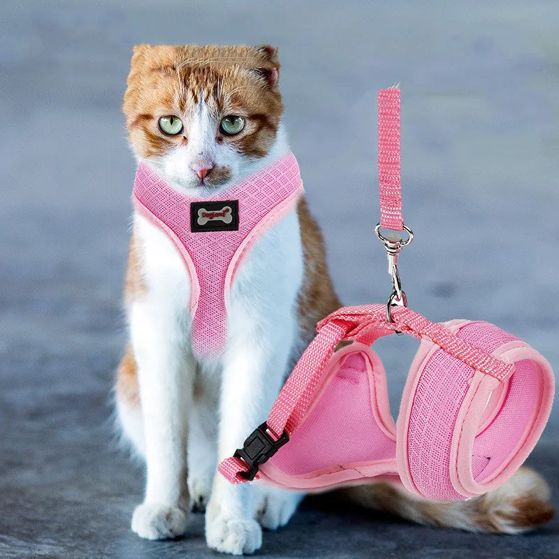 Harnais Antidérapant pour Chat